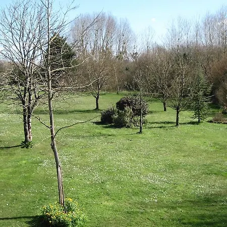 Cynlyns Le Ruisseau Dans Le Marais Saint-Savinien