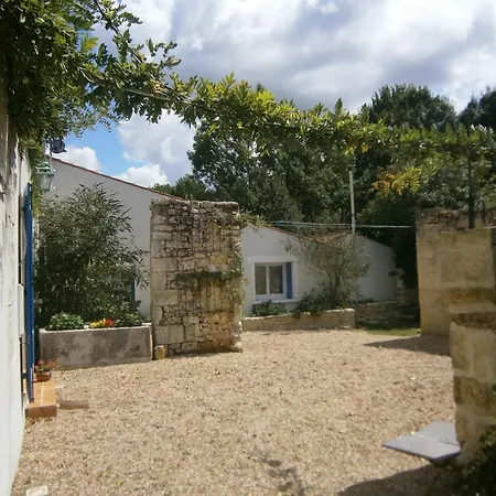 Cynlyns Le Ruisseau Dans Le Marais Saint-Savinien