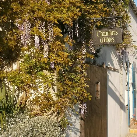 Cynlyns Le Ruisseau Dans Le Marais