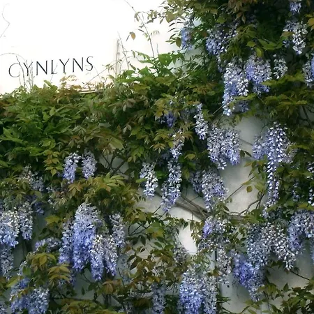 Cynlyns Le Ruisseau Dans Le Marais Bed & Breakfast *