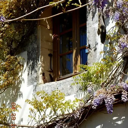 Cynlyns Le Ruisseau Dans Le Marais Bed & Breakfast Saint-Savinien