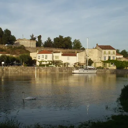 Cynlyns Le Ruisseau Dans Le Marais
